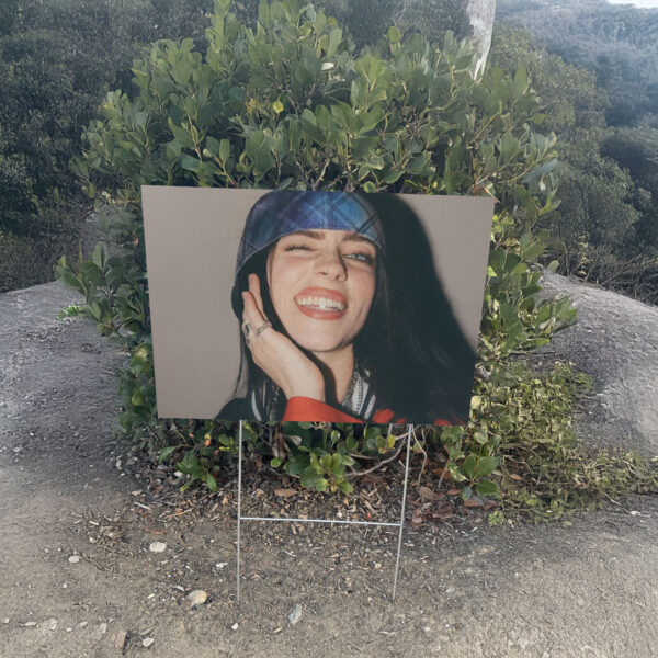 Billie Eilish Yard Sign