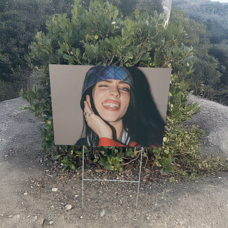 Billie Eilish Yard Sign